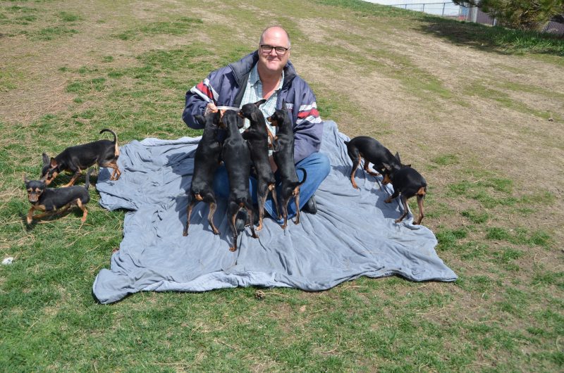 Le propriétaire Éric Couture assure que ses chiens n'ont jamais été maltraités.