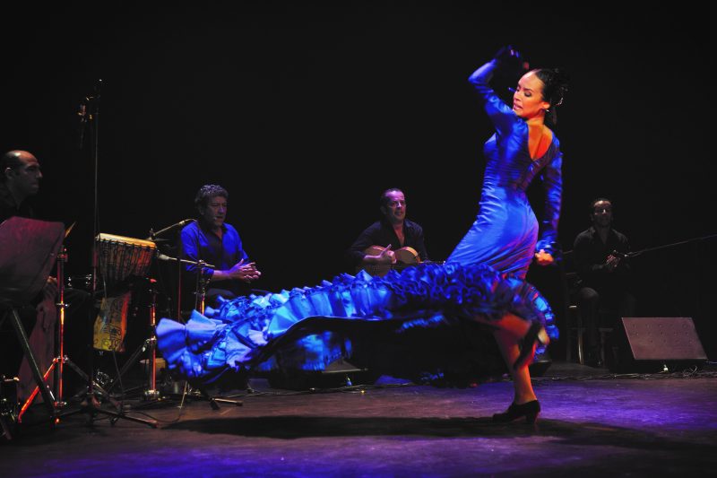 Flamenco Vivo