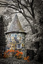 Les gagnants de la 16e édition du concours photo de la Réserve de biosphère du mont Saint-Hilaire