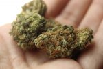 La Société québécoise du cannabis veut s’installer à Belœil