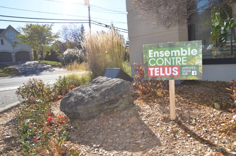 La Ville a installé des pancartes sur son territoire, dont sur les terrains de l’hôtel de ville, du Centre communautaire de la Pointe-Valaine et du Centre Marcel-Lacoste.
Photo: Vincent Guilbault