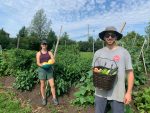 Un jardin collectif pour fournir les banques alimentaires