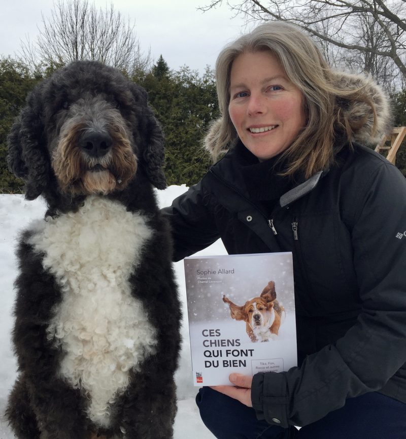 Canicule : les chiens tolérés au Canadien Tire de Drummondville - L'Express