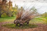 Un retour attendu pour Créations-sur-le-champ/Land art