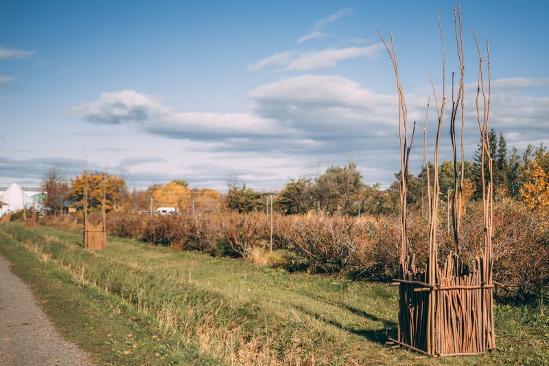 Le troisième prix revient à André Boisvert pour son œuvre « Pour la première fois je marche sur vos terres ». Photo Astra Productions