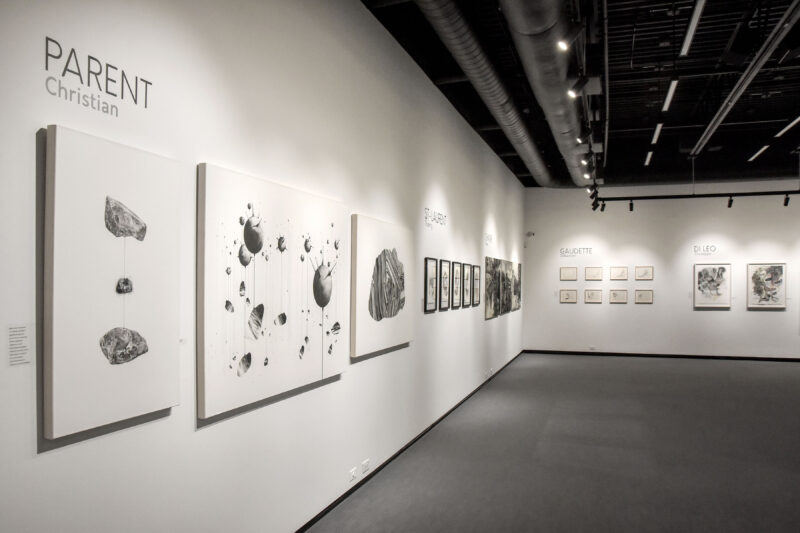 Huit artistes québécois ont exploré à leur façon le thème de la résilience en utilisant le dessin comme médium de création. Photo François Larivière | L’Œil Régional ©