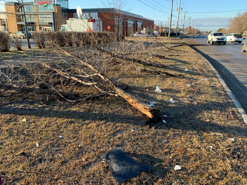 Sur la photo, on voit que plusieurs jeunes arbres ont été arrachés lorsque la voiture a fait des tonneaux sur le bord du boulevard Yvon-L’Heureux. Photo Martin Robert