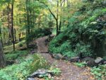 Mont-Saint-Hilaire encore poursuivie à cause des règlements de protection des milieux naturels
