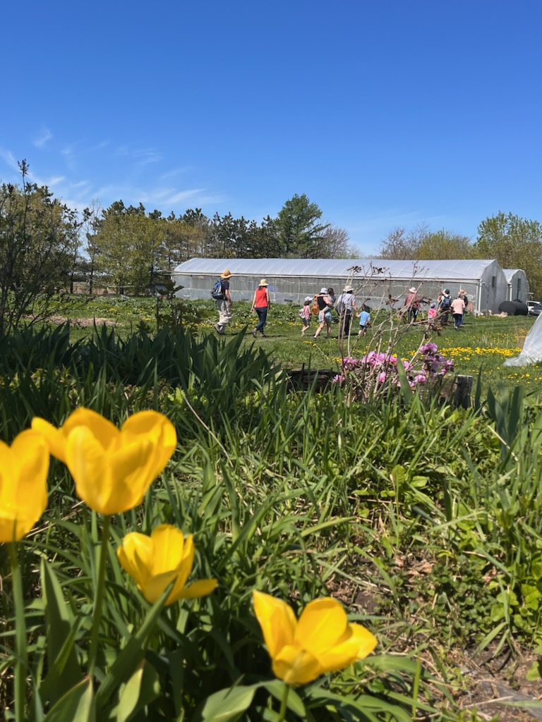 Pendant la journée portes ouvertes du 7 mai, plusieurs familles ont pu visiter les installations de la ferme Cadet Roussel, qui va accueillir dans les prochains mois un centre d'apprentissage libre d'inspiration Waldorf.Photo gracieuseté