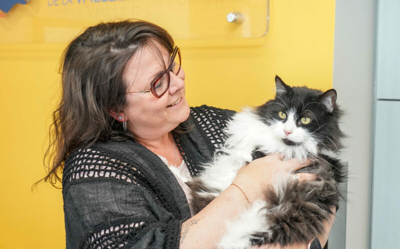 La directrice générale de la RISAVR, Isabelle Labrecque, avec Toffu le chat de zoothérapie lors d’une récente visite aux bureaux de la Régie. Photothèque | L’Œil Régional ©
