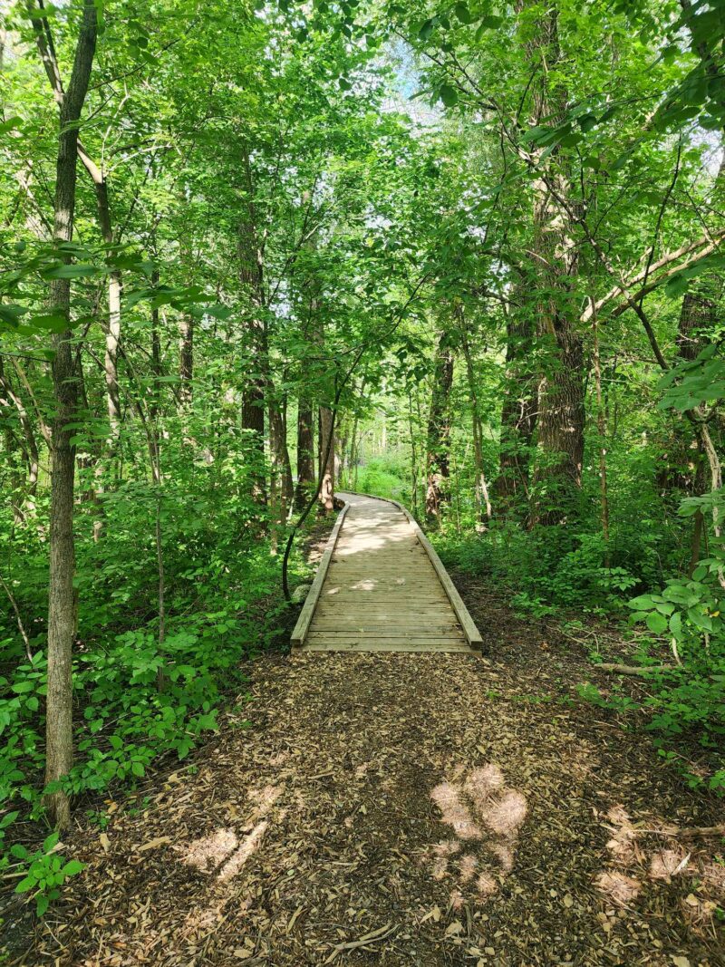 Le parc est accessible par un sentier derrière la bibliothèque municipale ou via la rue Ledoux, derrière l’édifice de Nature-Action Québec. Photo gracieuseté