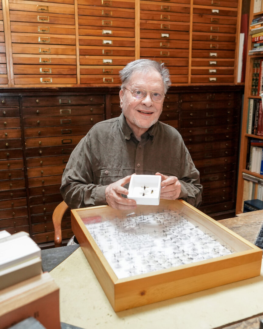 Collectionneur de papillons depuis 1964, l’Hilairemonais Louis Handfield a fait plusieurs découvertes ces dernières années, dont le Paranthrene hilairemontis, qu’il a observé pour la première fois en 2016. Photo François Larivière | L’Œil Régional ©