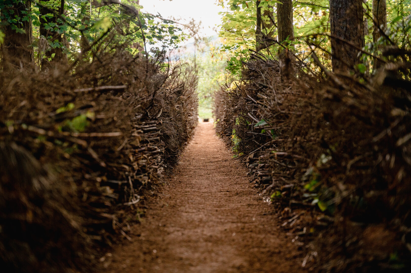 C’est l’œuvre « La solution » de Pierre-Étienne Locas qui avait remporté les grands honneurs durant la 16e édition de Créations-sur-le-champ/Land Art. Photo Véronique Moisan