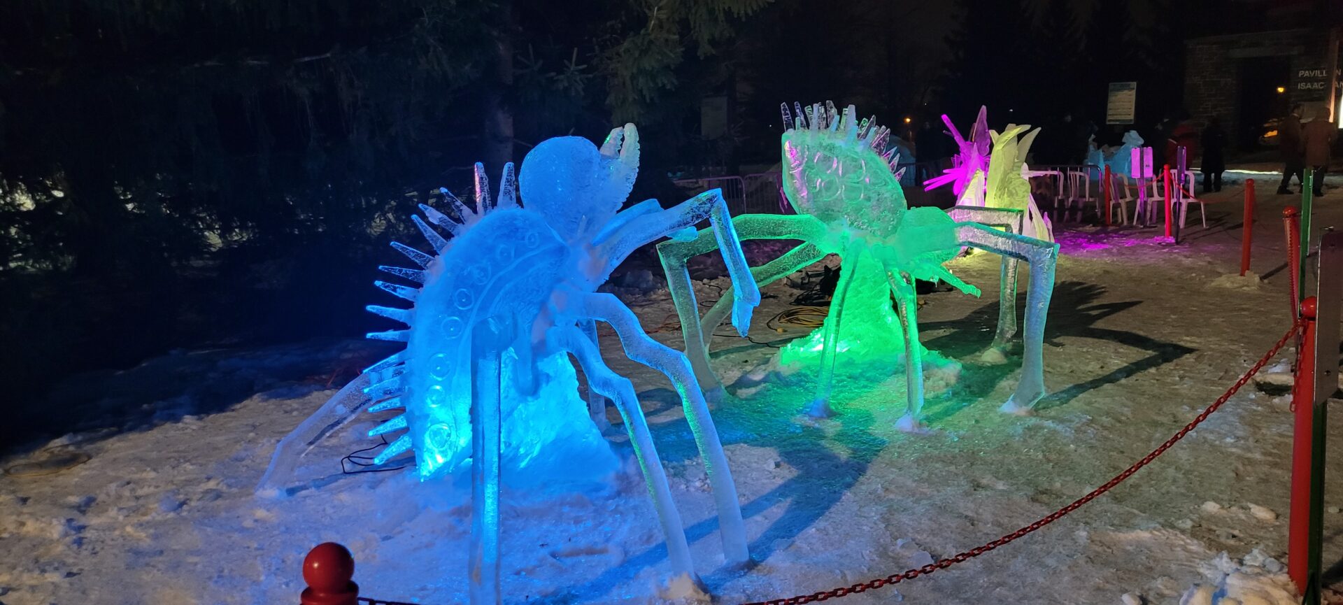 Pour une quatrième année, le Festiglace de Mont-Saint-Hilaire met de l’avant le talent d’artistes qui créeront d’impressionnantes sculptures de glace en direct. Photo gracieuseté