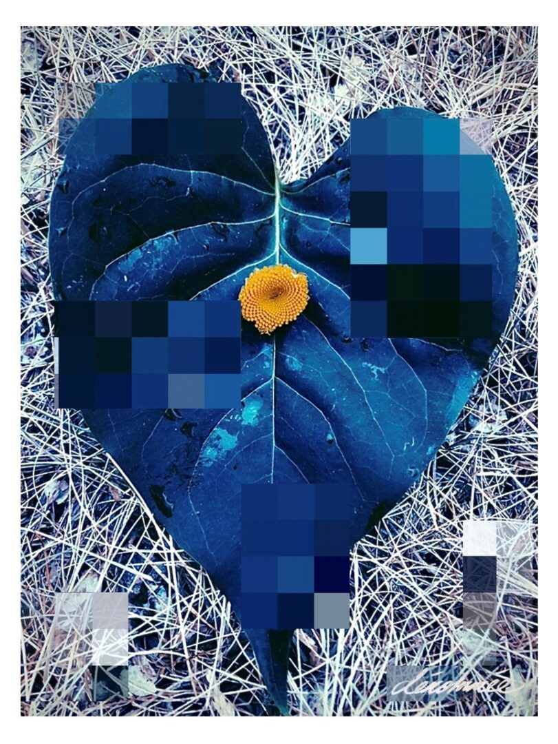 Une œuvre de Frédéric Dénommée. Photo gracieuseté