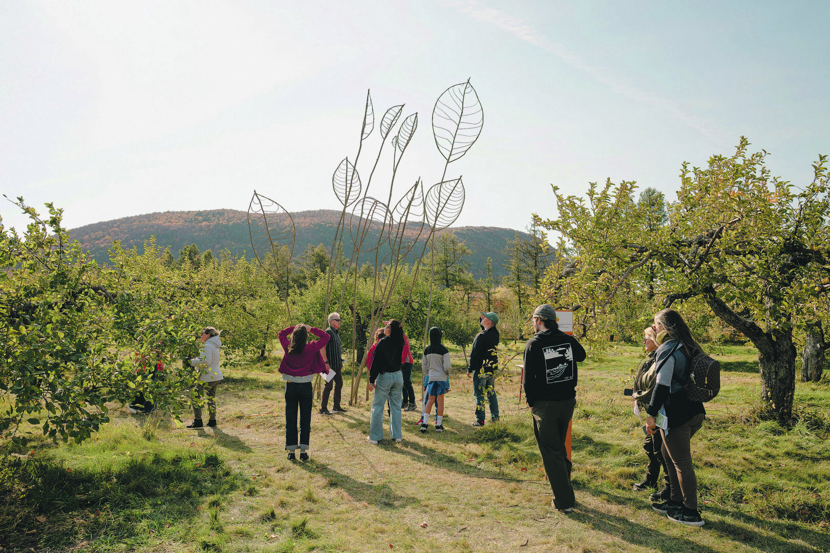« Sous-bois sous tension » de Michel Leclerc a remporté le prix du jury. Photo Véronique Moisan